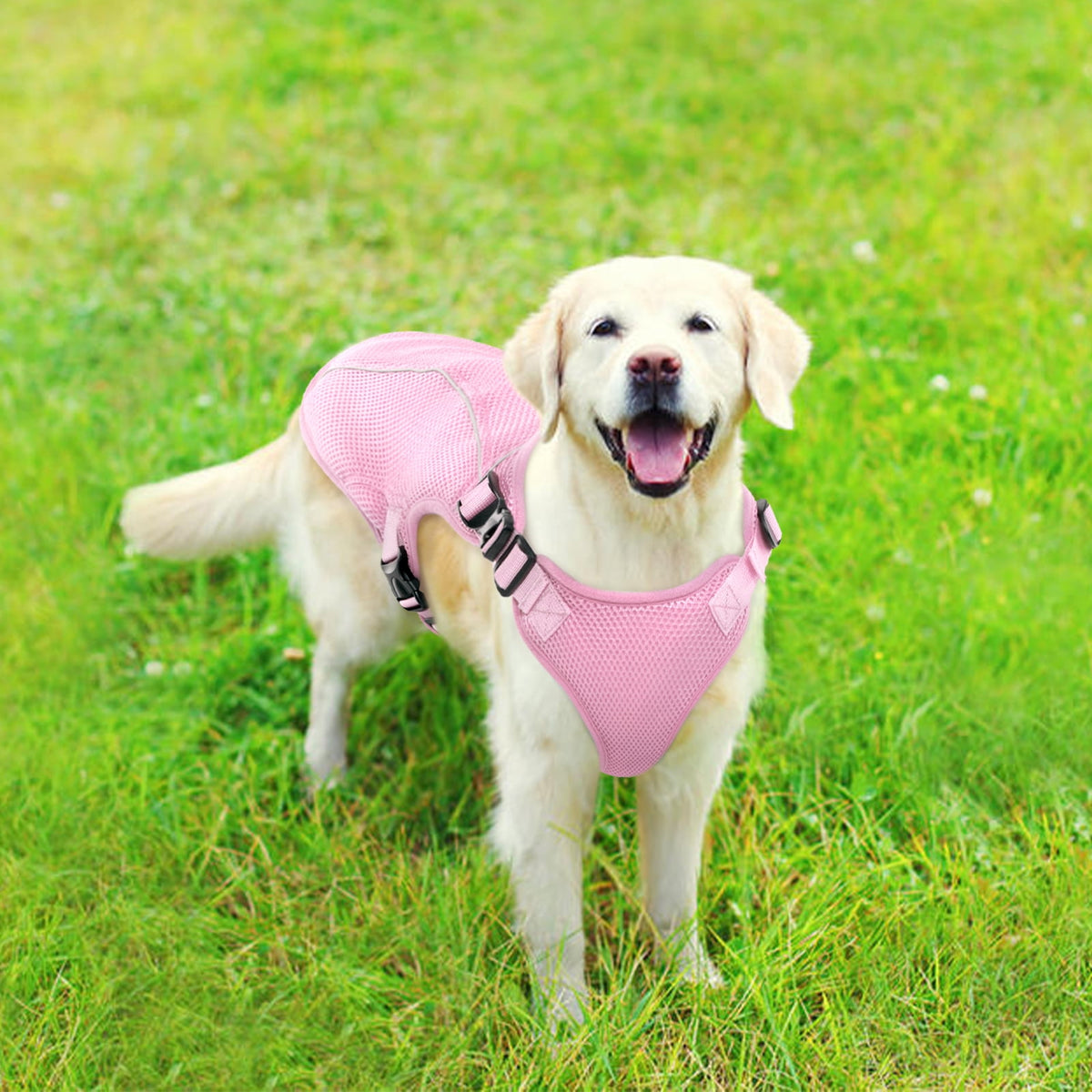 Kuoser Dog Cooling Vest, Breathable Mesh Ice Vest for Dogs, Cooling Jacket for Pet, Blue, extra large