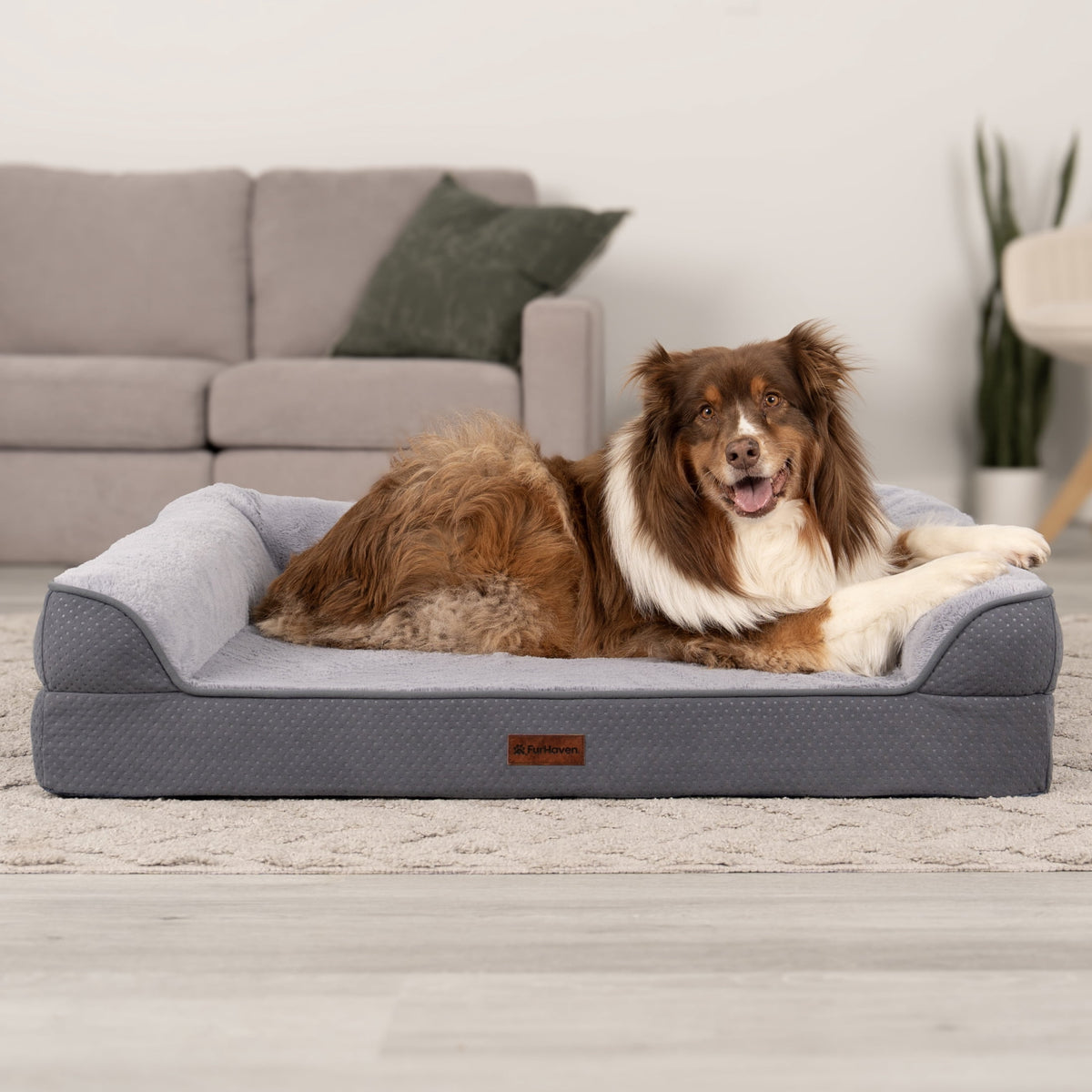 FurHaven Plush & Embossed Velvet Dreamer Orthopedic Sofa Pet Bed for Dogs and Cats - Cognac, Medium