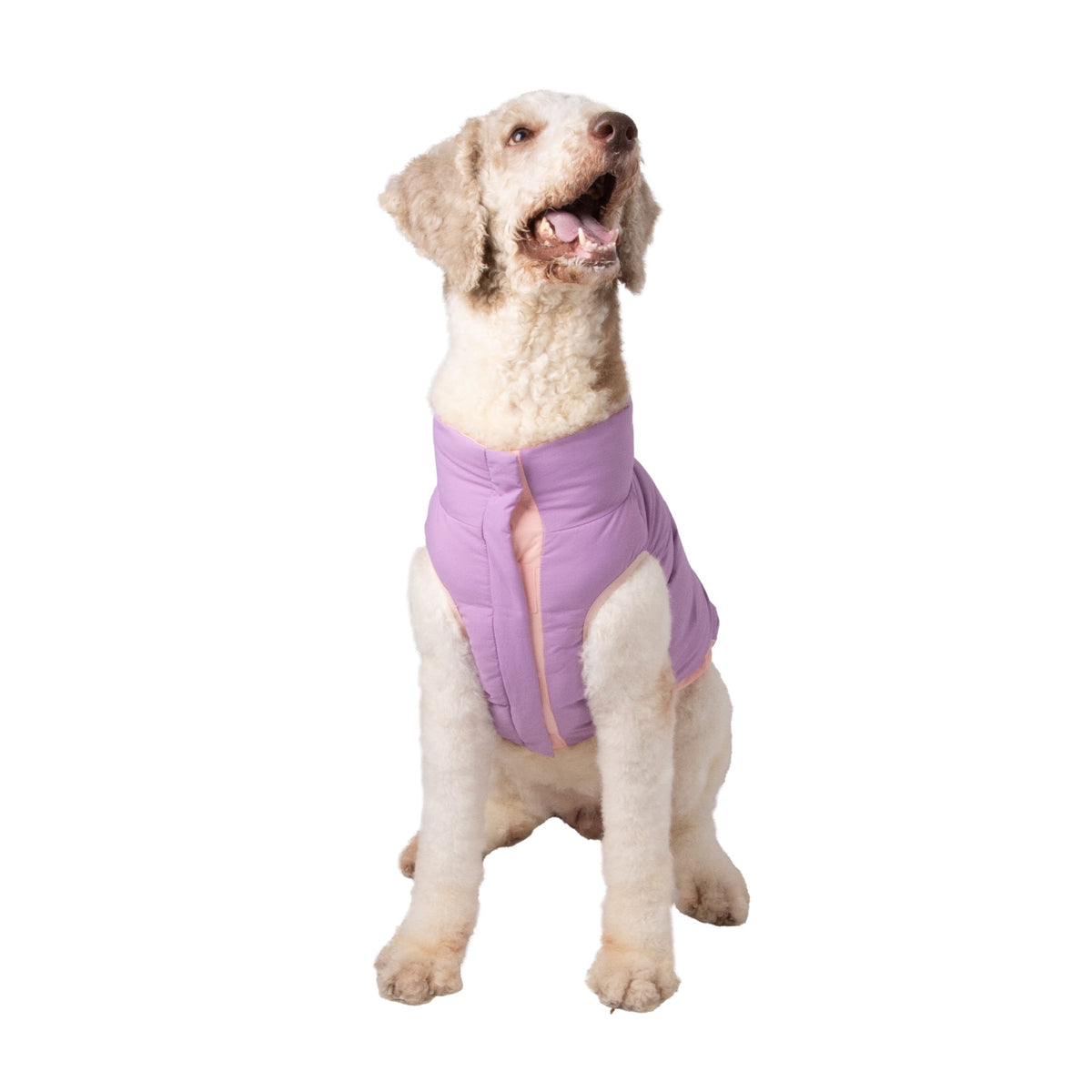 Oodles Quilted Fall Puffer Dog Jacket, Pink, Small