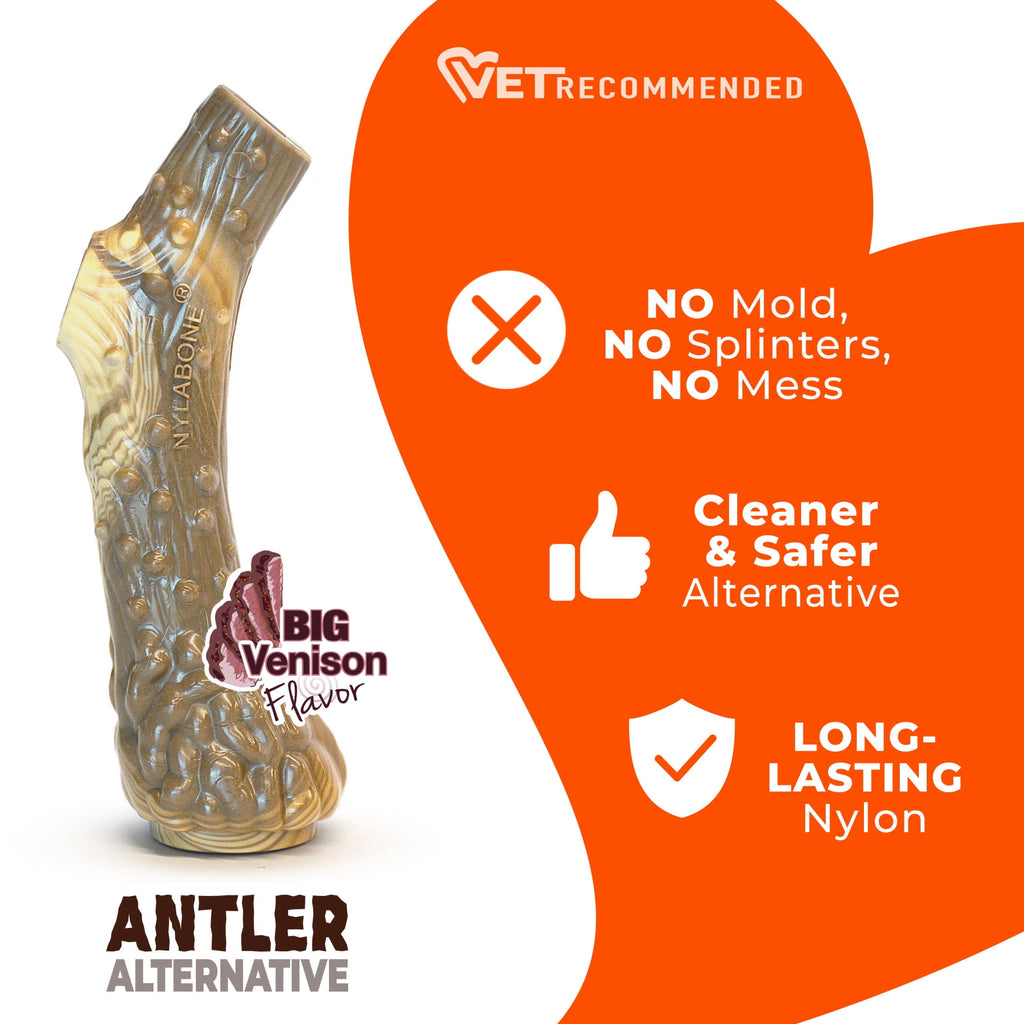Nylabone Power Chew Antler Alternative Dog Chew Toy Venison Medium (1 Count)