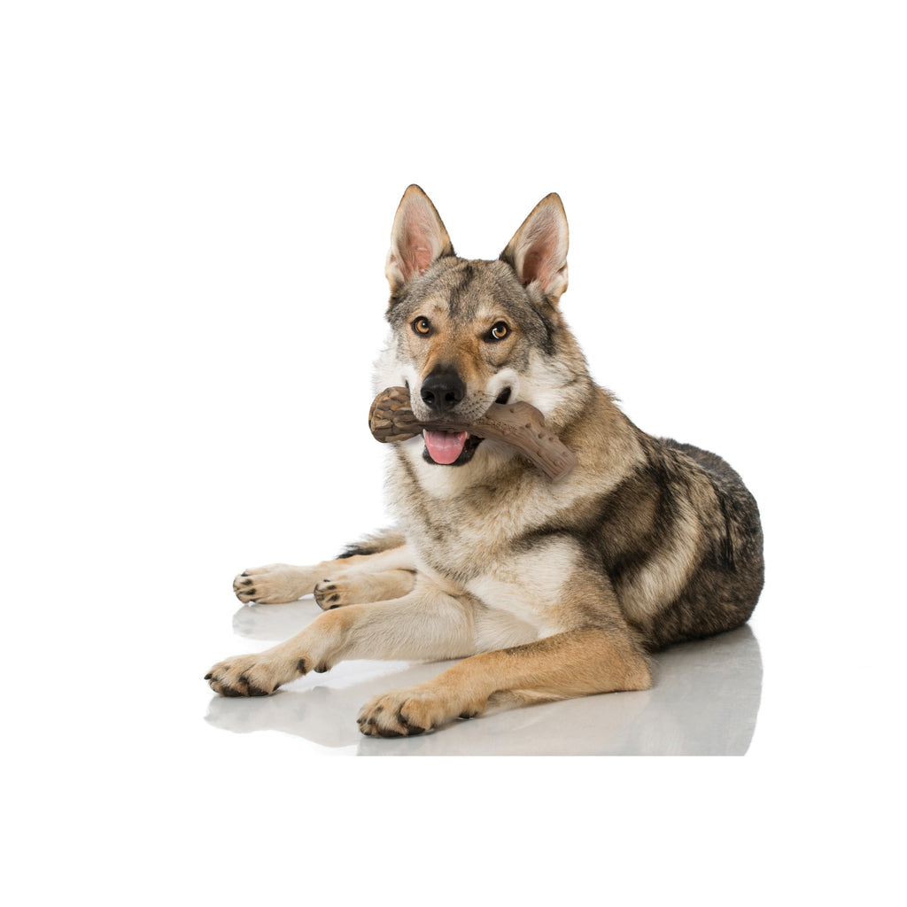 Nylabone Power Chew Antler Alternative Dog Chew Toy Venison Medium (1 Count)