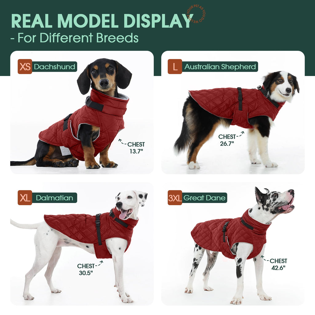 Kuoser Dog Winter Coat Warm Reflective Pet Jacket Waterproof Cold Weather Clothes for Dogs, Gray, M