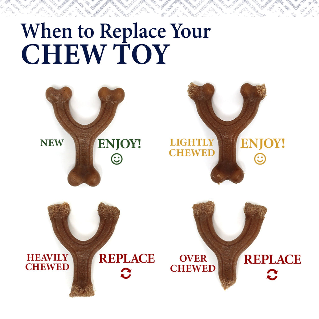 Nylabone Strong Chew Gourmet Style Femur Bone Dog Toy, Dog Chew Toy, Bacon & Chicken Flavor, Small, 2 Pack