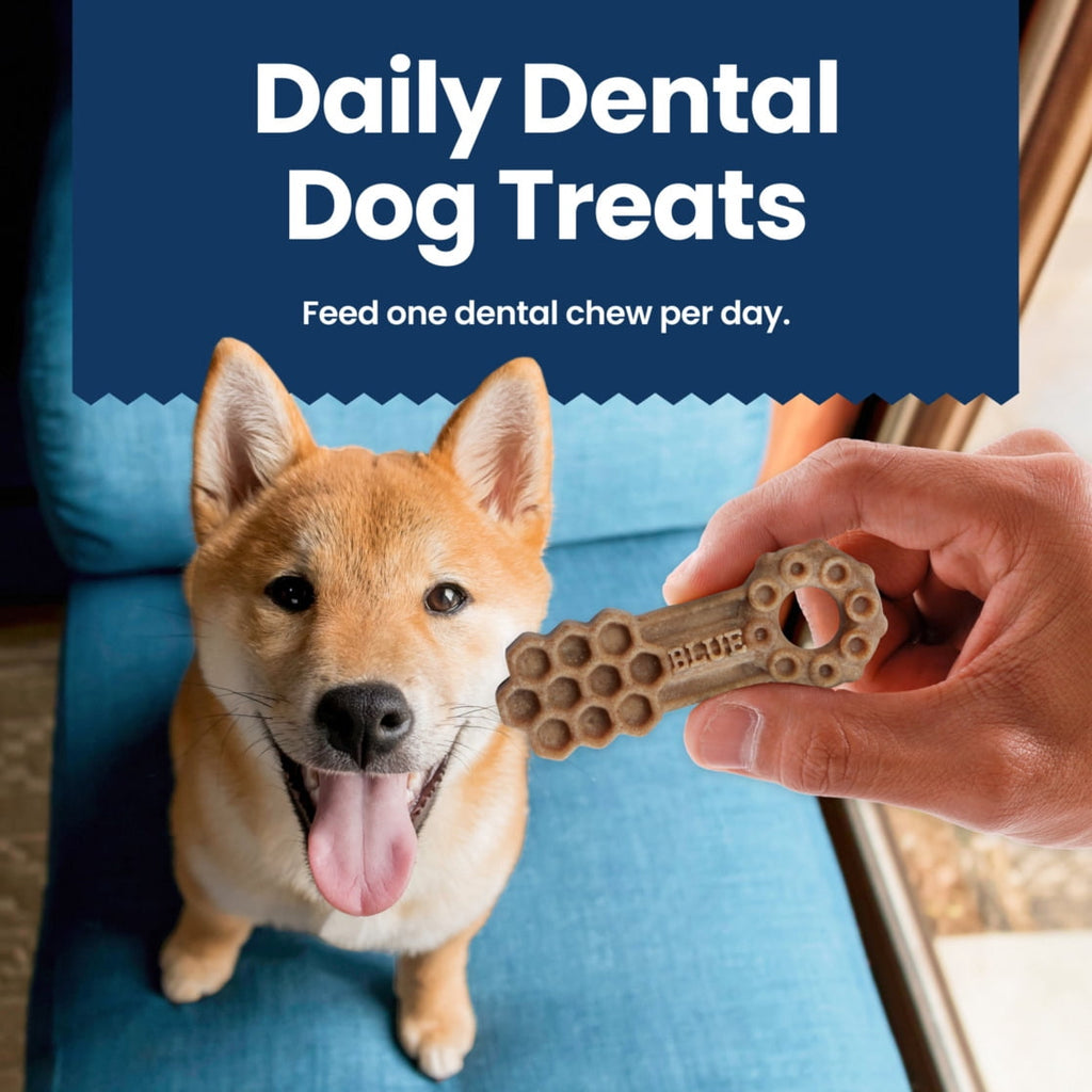 Blue Buffalo Dental Chews Small Natural Dog Treats, Chicken & Spearmint (56 Count)