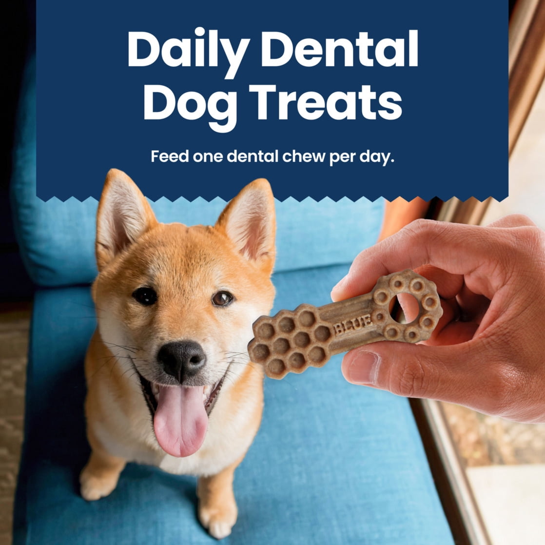 Blue Buffalo Medium Dental Chews, Daily Dental Care Dog Treats, Chicken & Spearmint (14 Count)