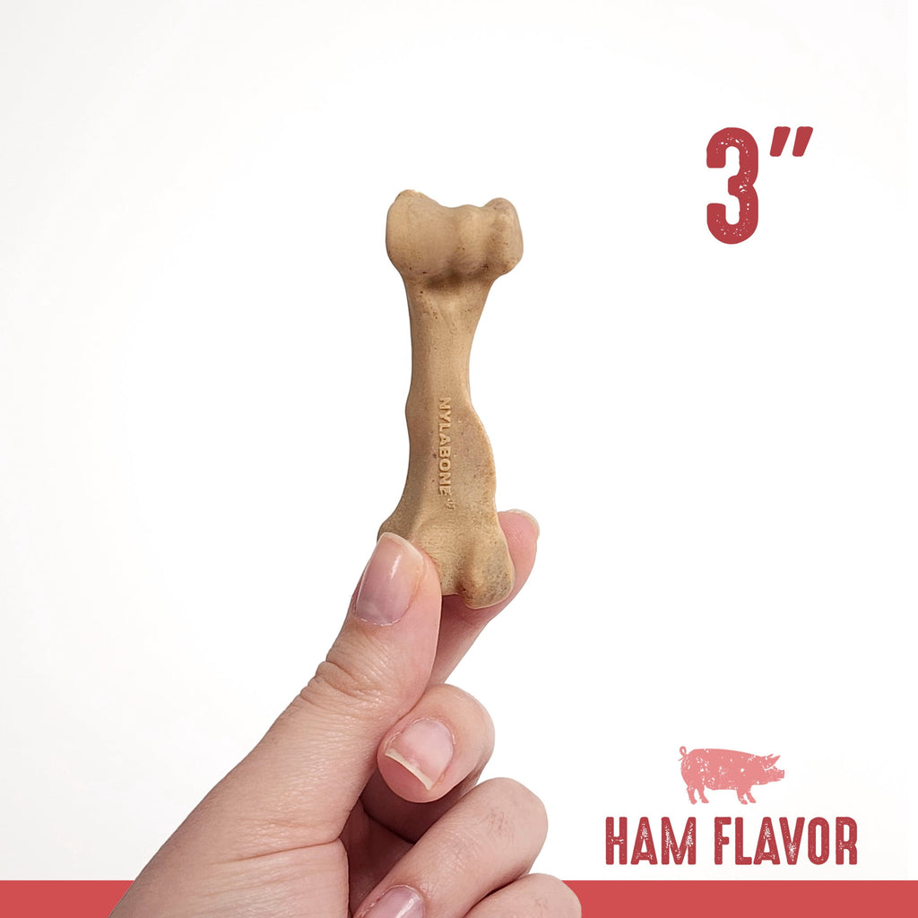 Nylabone Broth Bones Natural Dog Treats for Dogs, Bone Broth Dog Bones, Ham Flavor, For Large Dogs (1 Count)