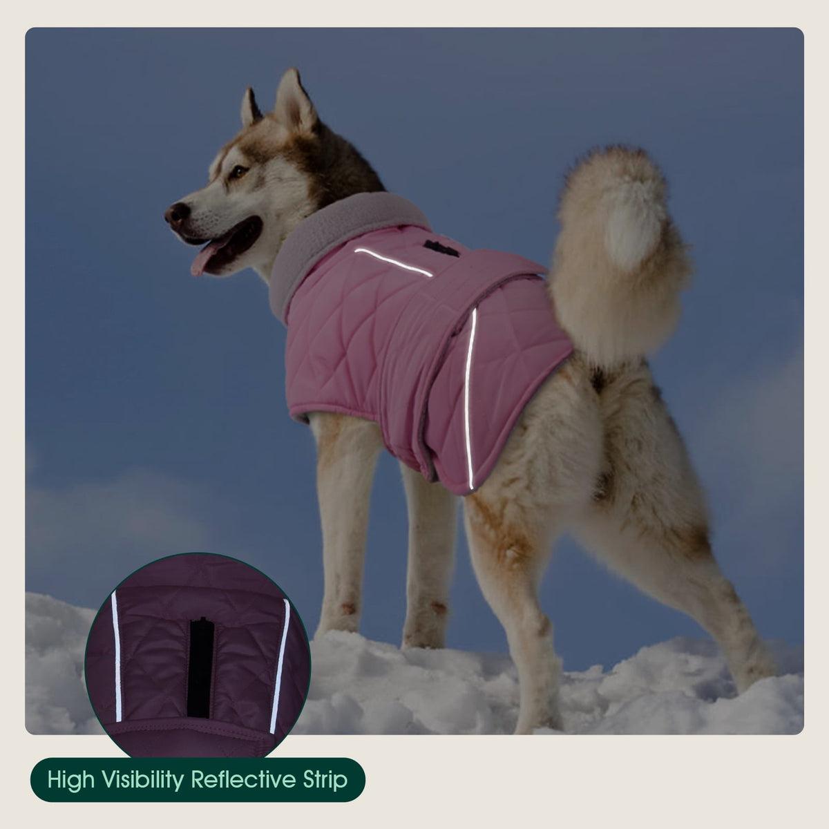 Kuoser Dog Coat Warm Dog Winter Jacket for Small Medium Large Dogs, Green, M