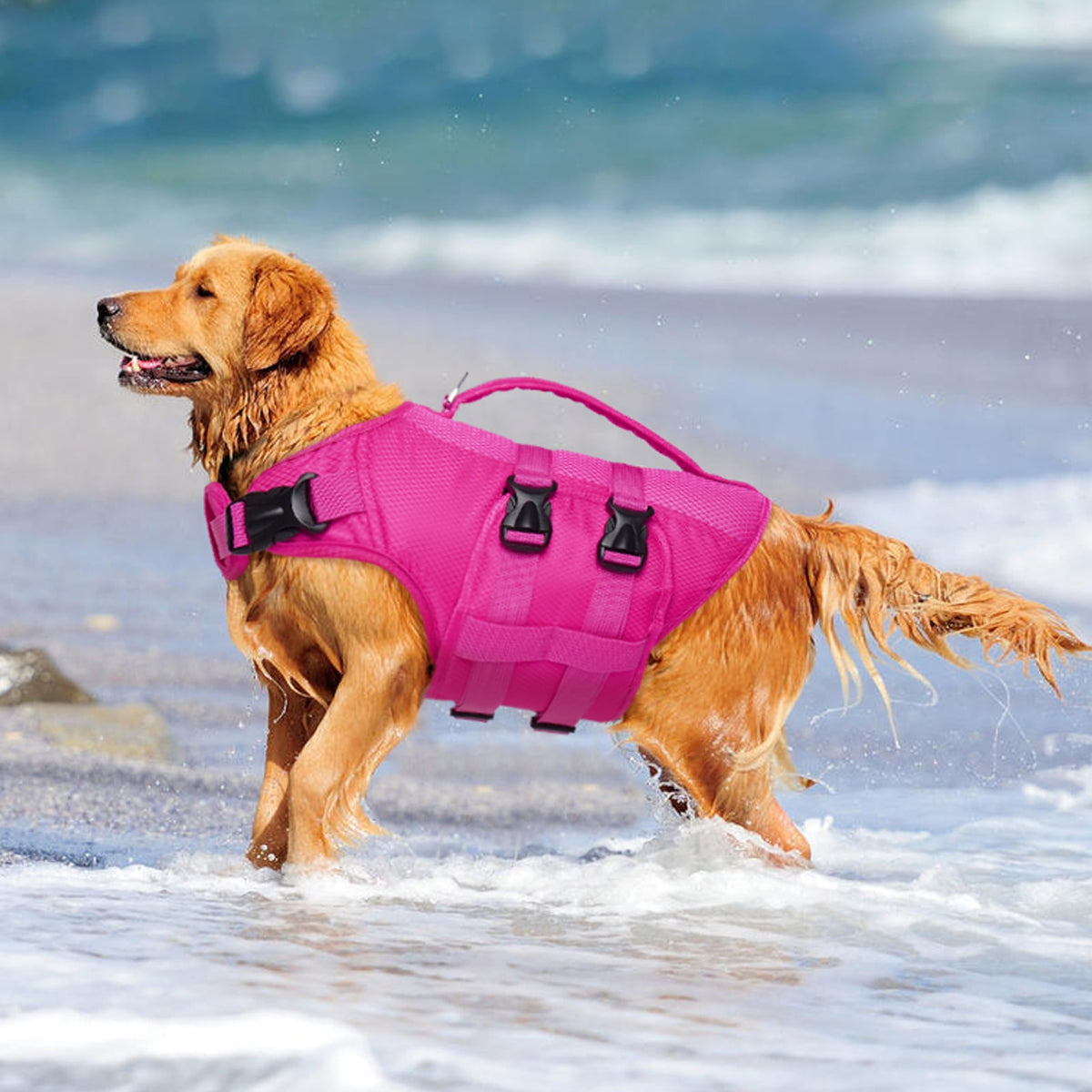 Kuoser Dog Life Jacket, Reflective Life Vest with Rescue Handle for Small Medium Large Dogs, Rosered, L