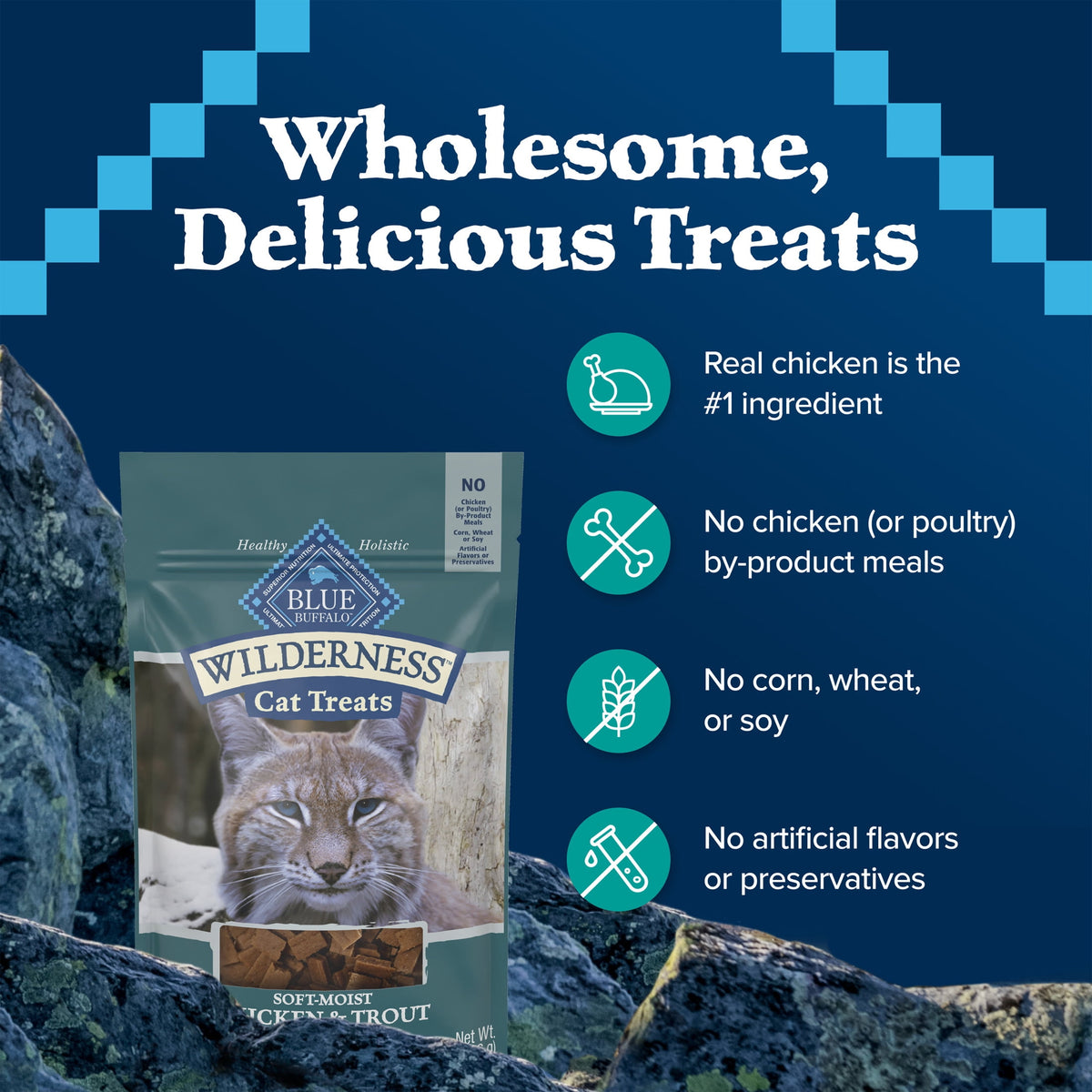 Blue Buffalo Wilderness Soft Cat Treats, Chicken & Trout Recipe, 2-oz. Bag