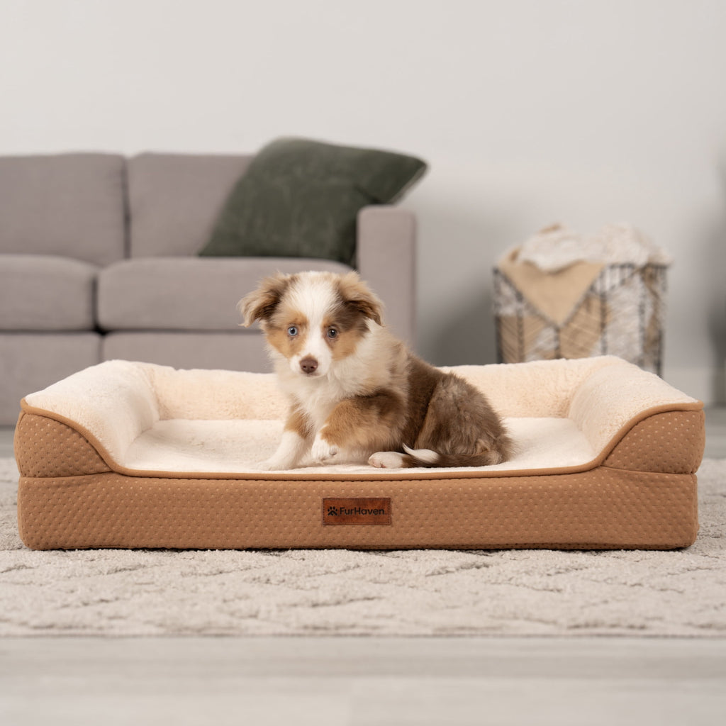 FurHaven Plush & Embossed Velvet Dreamer Orthopedic Sofa Pet Bed for Dogs and Cats - Cognac, Medium