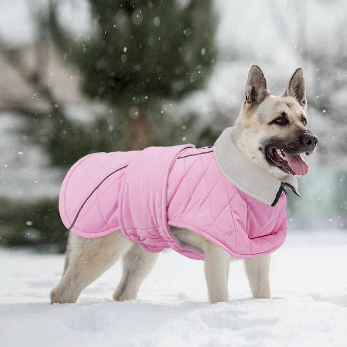 Kuoser Dog Coat Warm Dog Winter Jacket for Small Medium Large Dogs, Green, M