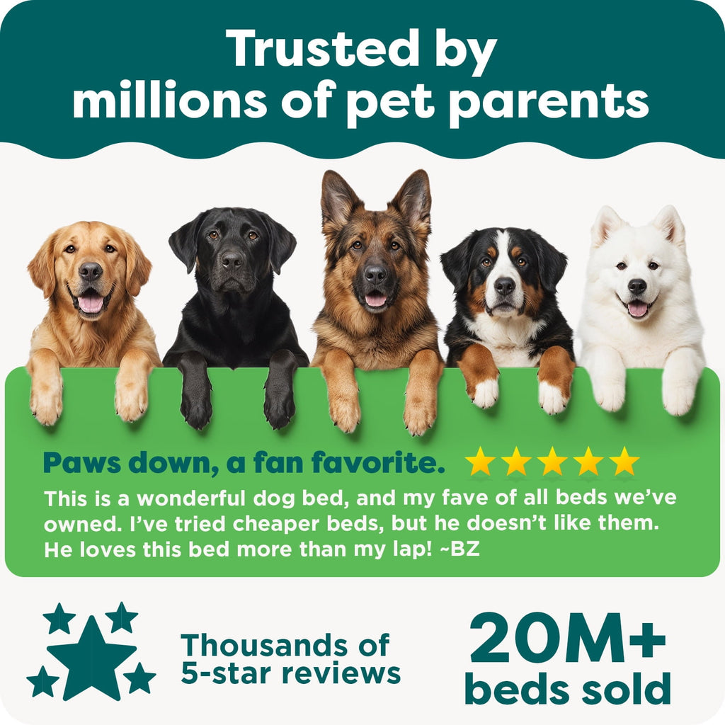 Furhaven Pet Products Medium Nest-Top Perfect Comfort Sofa Orthopedic Ped Bed, 30"x20", Green