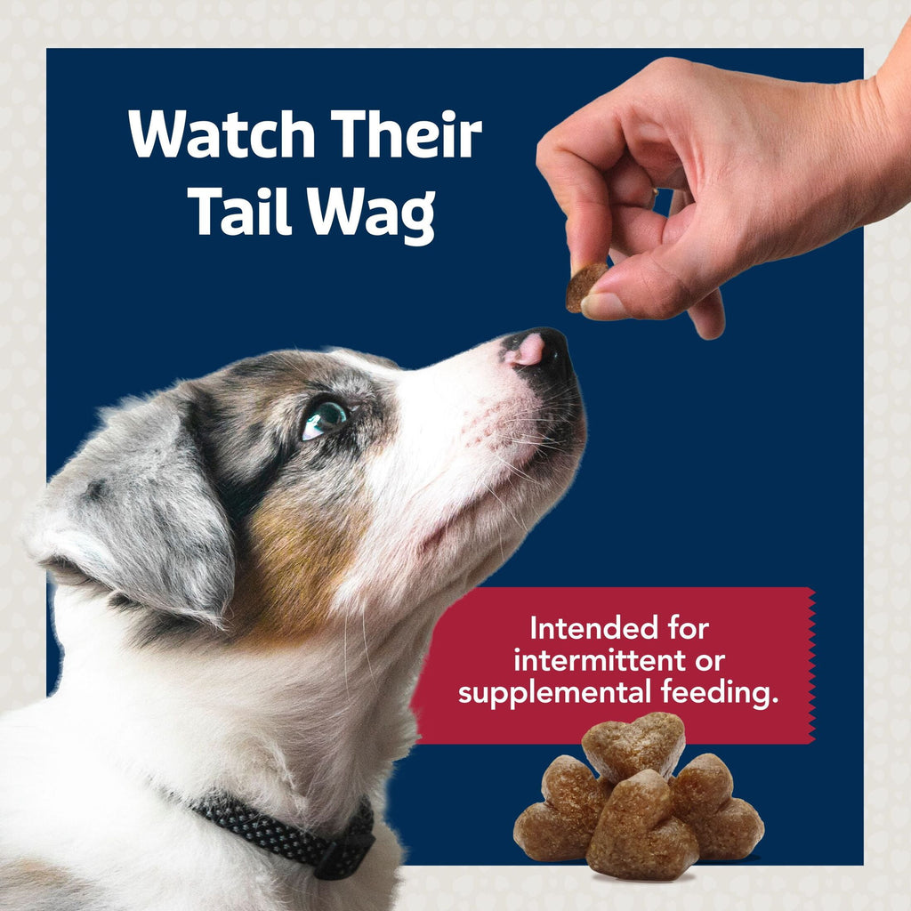 Blue Buffalo Bits Soft Dog Treats for Training, Made With Natural Ingredients & Enhanced with DHA, Beef Recipe, 19-oz Bag