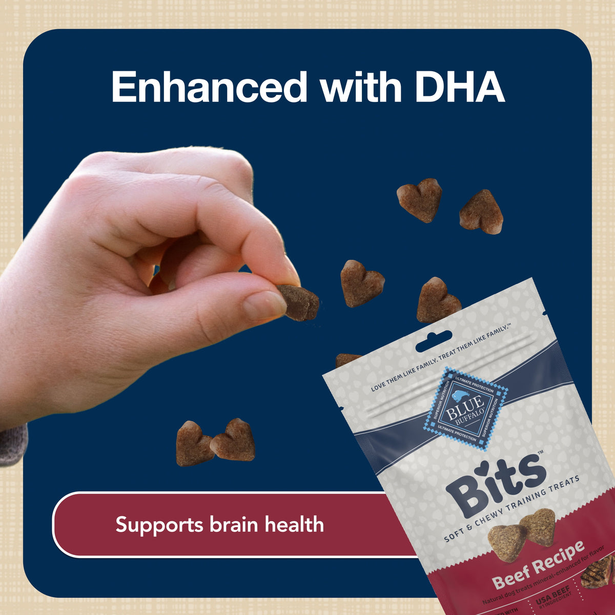 Blue Buffalo Bits Soft Dog Treats for Training, Made With Natural Ingredients & Enhanced with DHA, Beef Recipe, 19-oz Bag